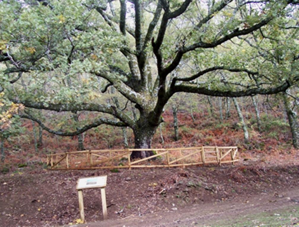 Las Calabazas Barrado ห้อง รูปภาพ
