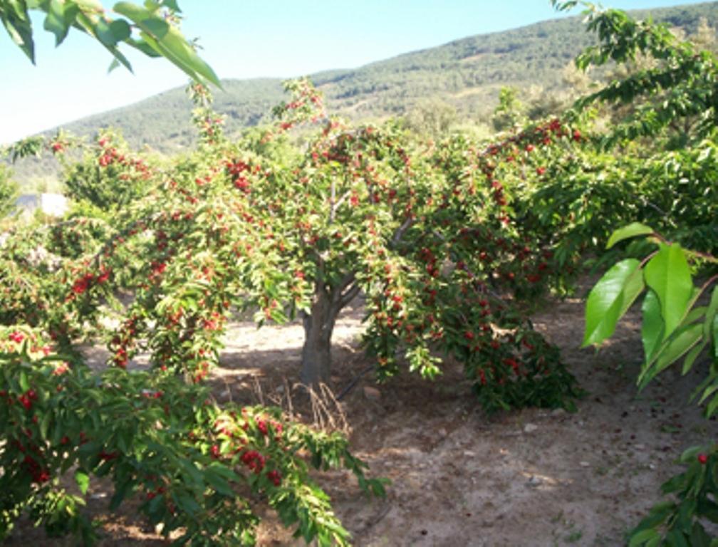Las Calabazas Barrado ห้อง รูปภาพ